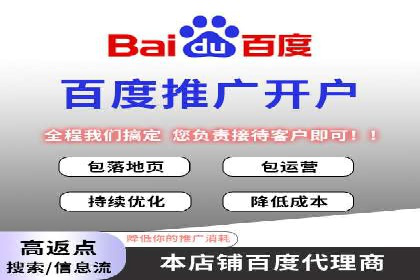 SEM竞价实战：成功案例解析